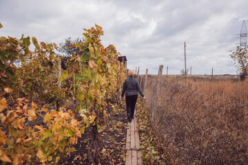 An elderly woman walks through a vineyard in her home garden.