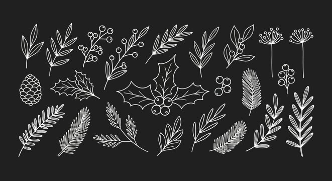 Elegant Hand-Drawn Botanical Elements Perfect for Winter Holiday Designs, Invitations, and Greetings