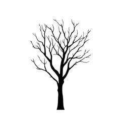 Naklejka premium Bare tree silhouette symbolizes winter, dormancy, and natural cycles.