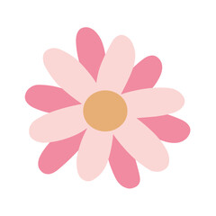 Flat Vector Illustration of a Pink Daisy Flower for Spring, Nature, and Decorative Designs