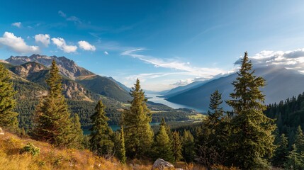 panorama of the mountains