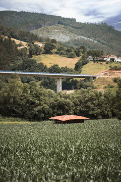 Picturesque rural landscape in northern Spain with a traditional granary horreo surrounded by lush green cornfield, forested hills, scattered houses and a modern concrete bridge crossing the valley