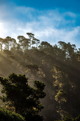 Lampton Ridge Sunrise 2