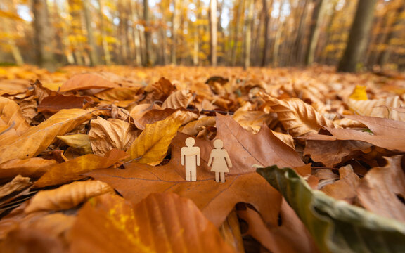 Wooden figurines of people in the forest in autumn. Autumn of life, health insurance, health concept, pension fund. Strengthening immunity. Protective vaccinations - Powered by Adobe