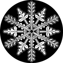 A stylized snowflake design in white against a, featuring intricate details and symmetrical patterns, creating a festive and elegant winter theme