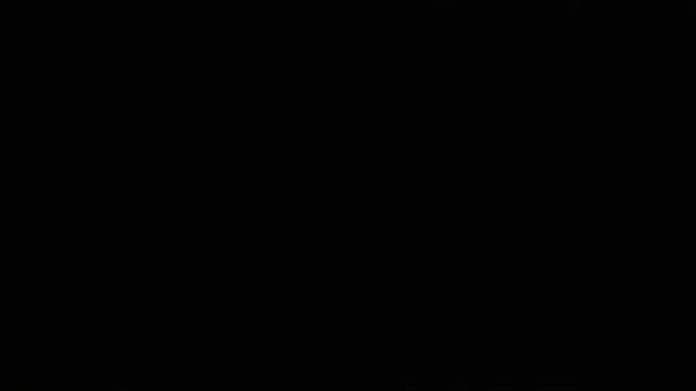 皆既月食で黄金色に輝く満月が夜空を照らす瞬間