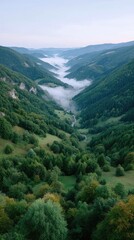 Fototapeta premium Misty Mountain Valley Sunrise Serene Green Hills Lush Forest Below Soft Clouds Pastel Sky Natural Landscape Aerial View