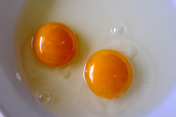 eggs as protein food with cholesterol