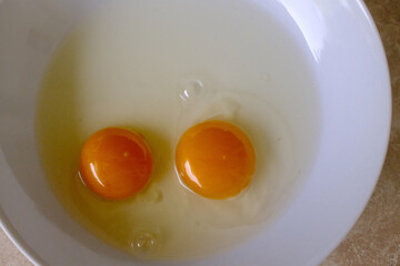 eggs as protein food with cholesterol
