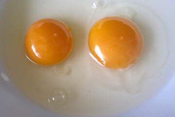 eggs as protein food with cholesterol