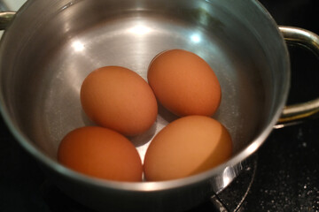 eggs as protein food with cholesterol