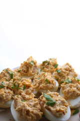 eggs as protein food with cholesterol