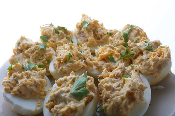 eggs as protein food with cholesterol