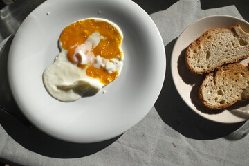eggs as protein food with cholesterol