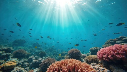 Fototapeta premium Underwater scene shows coral reef with many fishes swimming in blue ocean water. Sun rays penetrate sea surface lighting aquatic world with corals, marine life. Perfect for sea adventures