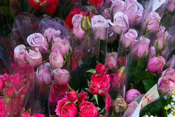 변색, 튤립, love, 나뭇잎, 묶음, 배열, 결혼, 개화, 꽃, 네이처, flower, 꽃다발, 분홍, 로즈, 식물