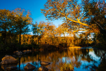 colorful trees by the river in the fall
