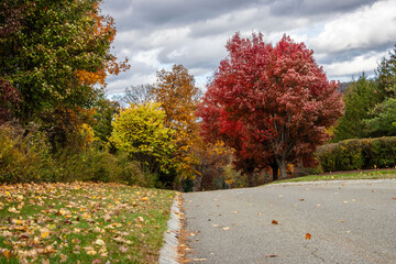 Naklejka premium rural road on a windy day