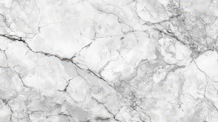 Abstract White Texture with Black Veins and Speckles Creating a Detailed Pattern