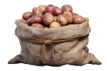 Full burlap sack overflowing with red and yellow potatoes on black background jute, Isolated On Transparent Background, Png Cut Out