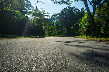 Scenic view of a quiet road surrounded by lush greenery in a tropical forest during the daytime