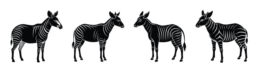 Black and white zebra illustration graphic design animal art wildlife african safari zebras drawing