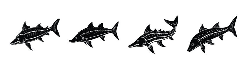 Fototapeta premium Discover unique black and white fish illustration vector art featuring swordfish and marlin species