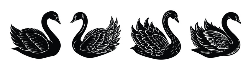 Obraz premium Elegant black swan vector illustration for creative designs and artistic projects download now free