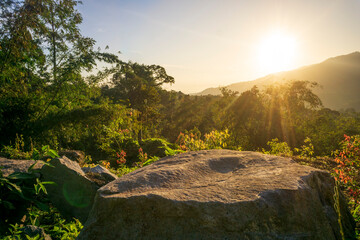 Sunrise illuminating the mountainside with vibrant greenery and blossoming flowers in the early morning light
