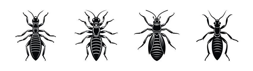 Vector illustration of different types of thrips insects pest control and entomology study guide