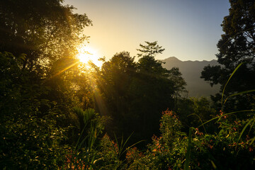 Sunrise illuminates lush jungle landscape in serene mountain setting