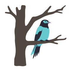 Turquoise and black vector bird perched on a bare tree branch isolated on a clean white background
