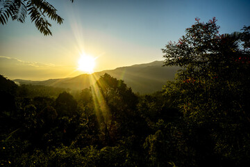 Scenic sunrise over lush mountains with vibrant trees and clear skies in the early morning