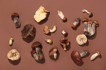 Composition with autumn mushrooms on brown background