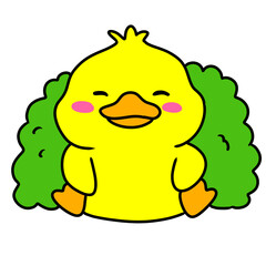 Duck