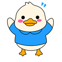 Duck