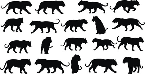 Big cat silhouettes in motion, walking, sitting, standing poses, animal locomotion study, feline anatomy, wildlife reference, artistic design elements