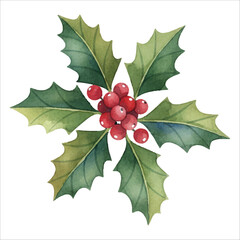 Watercolor Holly Leaves and Berries Clipart
