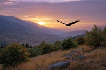 Naklejka premium An eagle soars near mountains backlighted by sunset with a grassy slope in the foreground