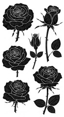 Sophisticated black and white rose engravings with ornate detailing flowers