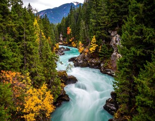 A river winds through an autumn forest beneath a distant, snowy mountain range