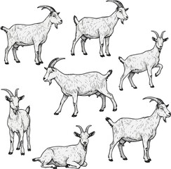 Six Goat Silhouettes Vector Art