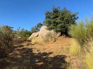 hiking path in the mountains - hike on the trail through rocks, grass, trees, bushes - dry desert landscape - Escondido, California, USA