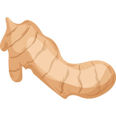 A Detailed Illustration of a Fresh Ginger Root with a Transparent Background