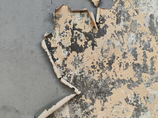 A close-up of a damaged wall texture showing a large section of gray paint peeling and curling back to reveal the rough, weathered, and cracked plaster or concrete layer underneath.