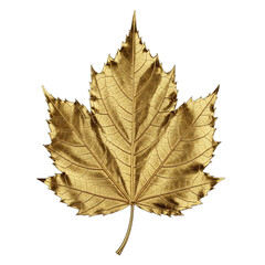 Fototapeta premium Floating, polished gold autumn leaf, 3D rendered with intricate details, jewelry lighting. Ideal for luxury branding, finance, autumn, Thanksgiving, holiday designs.