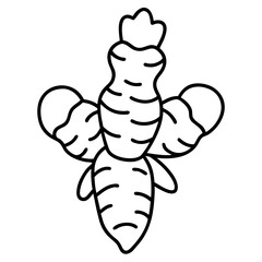 Ginger Line Drawing Vector Minimalist One Line Food and Vegetable Illustration Design