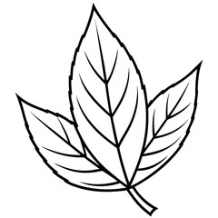 Neem Leaf Line Drawing Vector: Minimalist One Line Leaf Outline Illustration