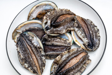 Fresh abalone ingredients on a pure white background