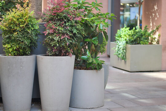 Garden planters enhance outdoor space with greenery
